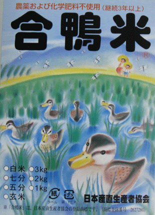 ���V�[��